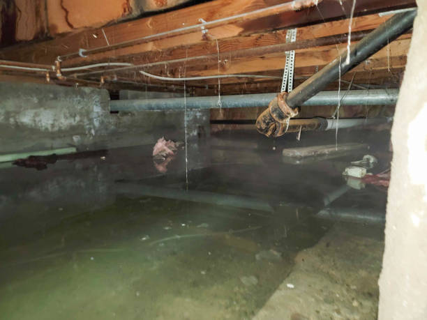 Best Carpet water damage restoration  in Horseshoe Bay, TX