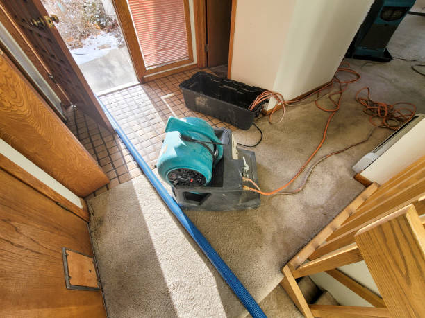 Best Ceiling water damage repair  in Horseshoe Bay, TX