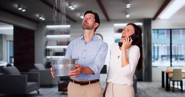 Best Mold removal after water damage  in Horseshoe Bay, TX